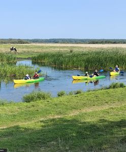 Burza wokół nowego bonu turystycznego. "Dziadów z nas robią"