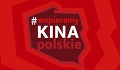 Sprzedano bilety do kin za ponad 130 tys. zł. Akcja #wspieramykinapolskie