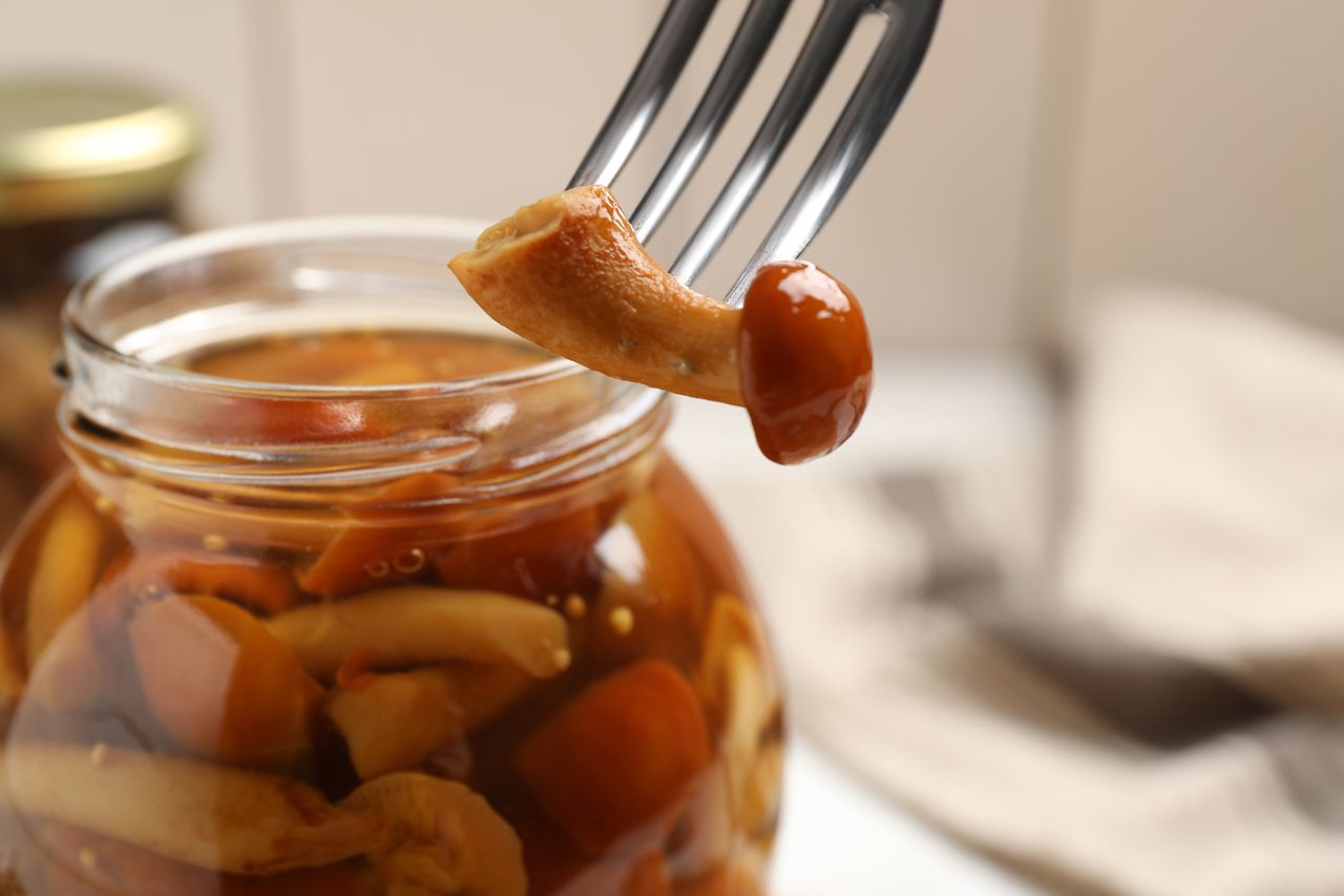Preserving the harvest: Grandma's guide to mushrooms in brine