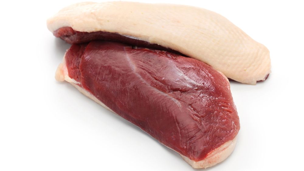 Surowa pierś z cieciornika bez skóry