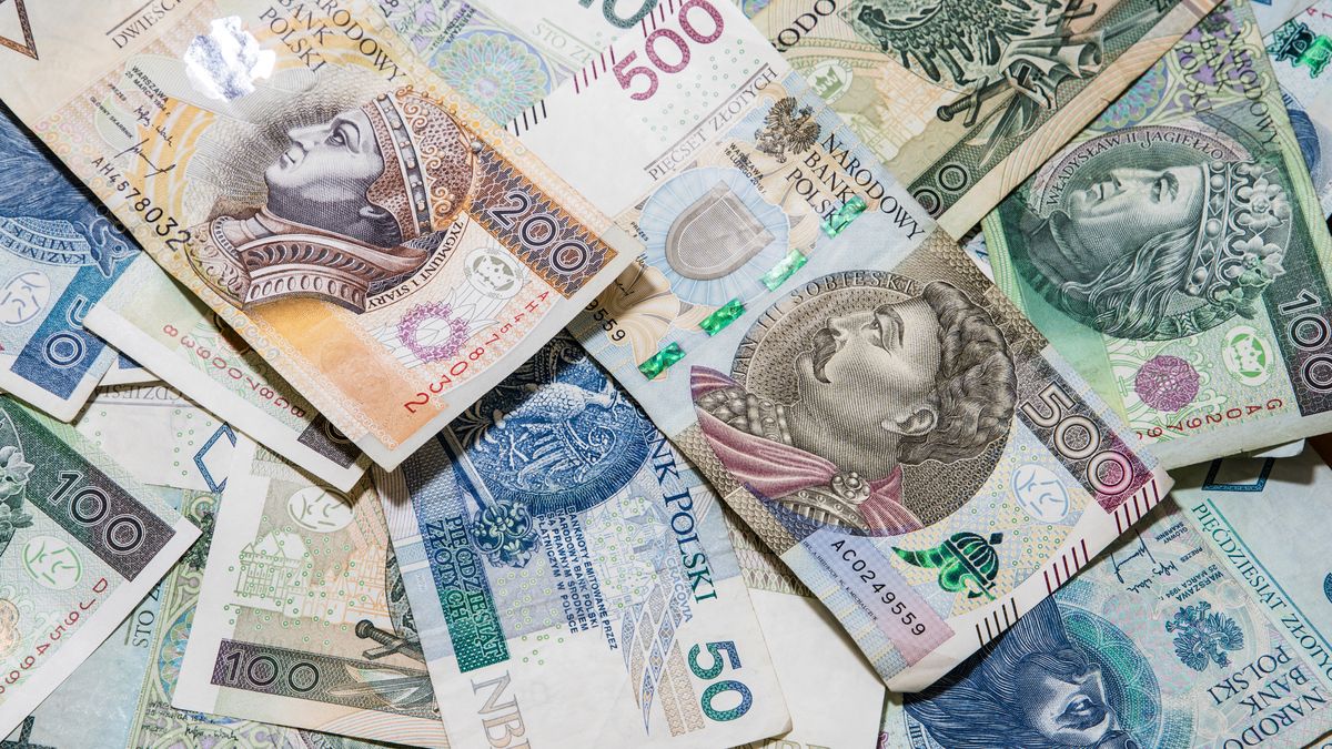 money, zloty, polish, finance, business, currency, bill, 100, paper, cash, hundred, financial, poland, bank, savings, background, banking, banknote, wealth, debt, note, pln, european, economy, rich, exchange, loan, pay, europe, market