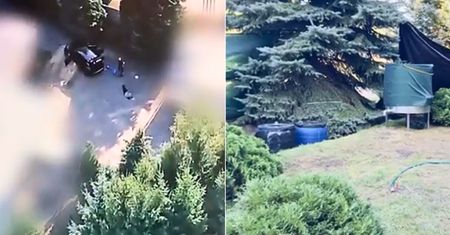 Odkrycie w cichej wiosce na Podlasiu. Zatrzymano obywateli Meksyku