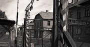 80. Rocznica Wyzwolenia Auschwitz: Świat wspomina ofiary Holokaustu