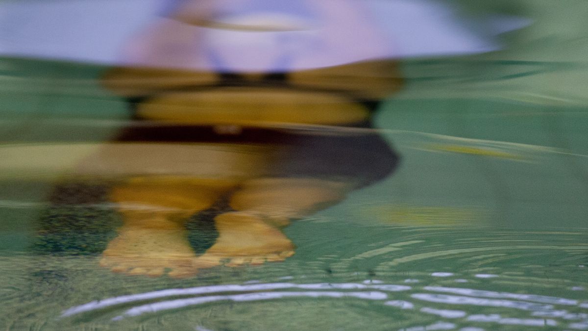 Zdjęcie okładkowe artykułu: PAP / Grzegorz Michałowski / Alicja Tchórz płynie na dystansie 400 metrów stylem zmiennym podczas pływackich zawodów Grand Prix - Pucharu Polski w Łodzi