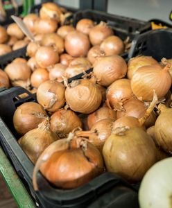 Co się dzieje na rynku cebuli? Oto ceny tego warzywa