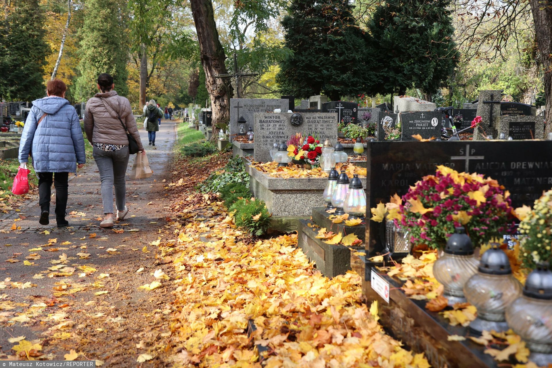 wiadomości,aktualności,WP Wiadomości Apel policji na 1 listopada
