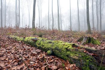 Łódź: Prognoza pogody na sobotę. To już koniec ciepłej jesieni?