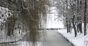 Kolejny mroźny dzień