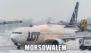 Morsujący samolot. PLL LOT dołącza do internetowego trendu