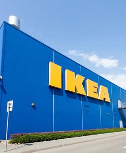 IKEA wycofuje partię mrożonych klopsików warzywnych