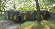 To najstarszy park w Świętochłowicach. Nazwa z Holandii, rozstrzelanie, schron i "piaśnicki pałacyk". Poznajcie historię Heiloo