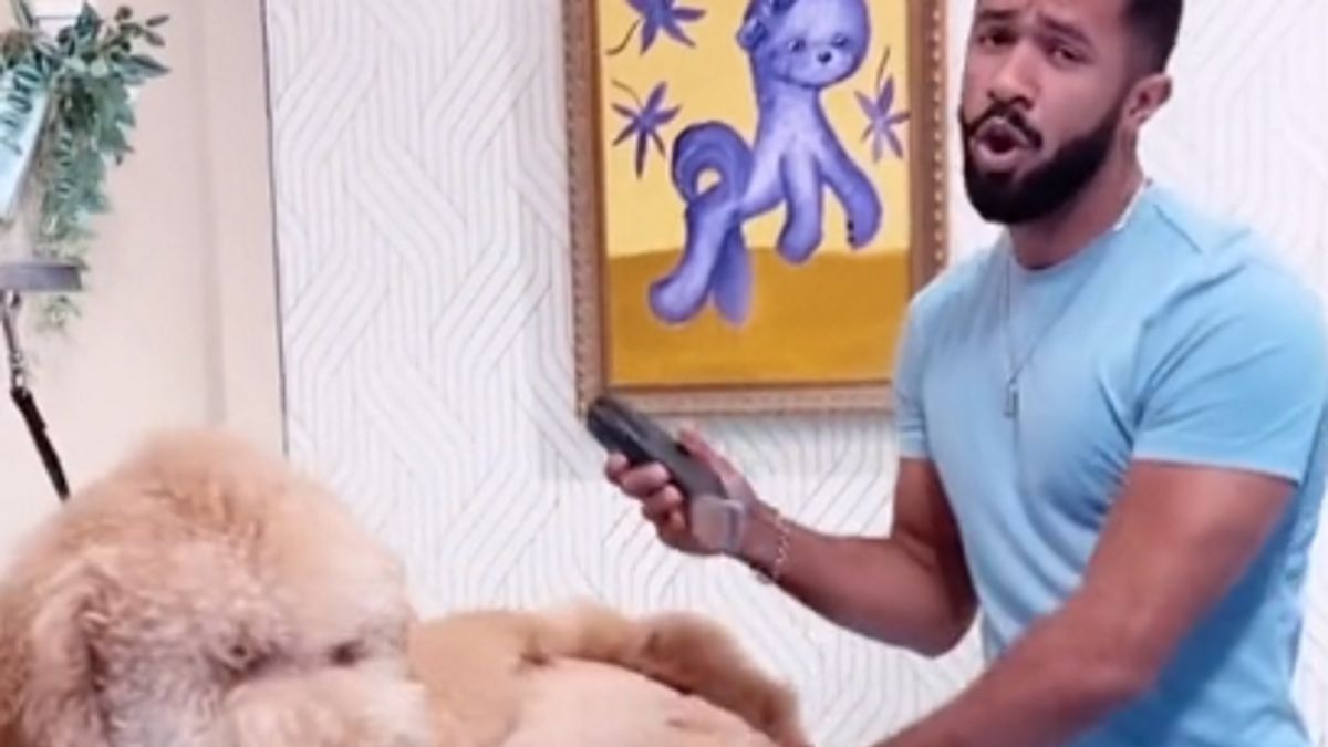 Pies przeszedł prawdziwą metamorfozę