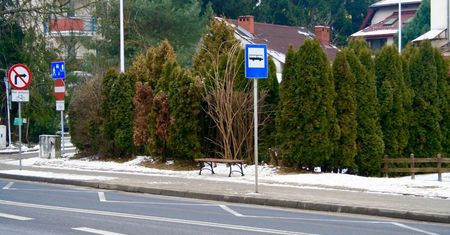 Znak jest, oznakowanie na jezdni wymalowane, ławeczka stoi. Od poniedziałku zatrzymają się tu autobusy