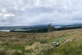 Lasy Kielder