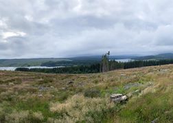 Polsat Viasat Nature HD Lasy Kielder