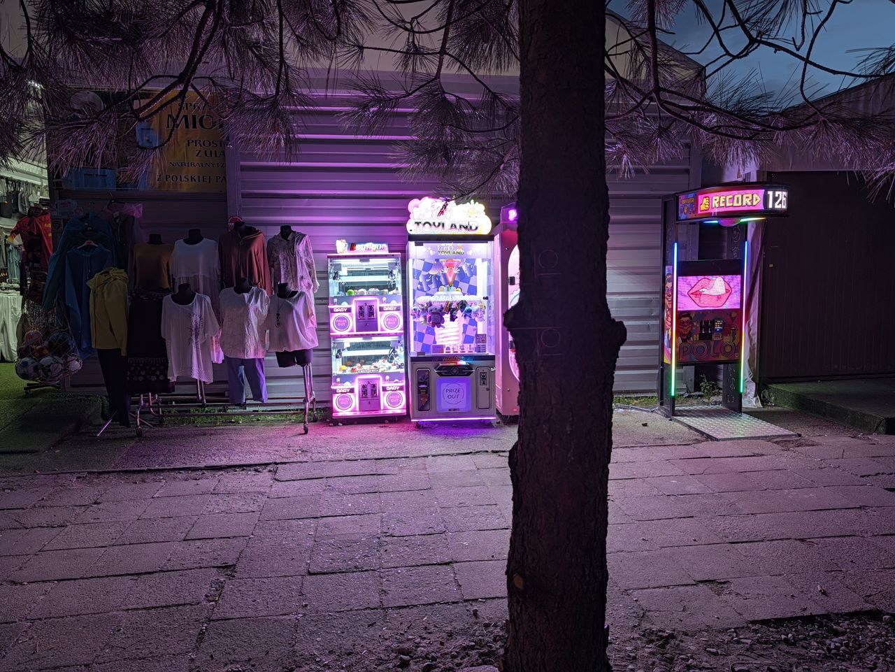 Pixel 11 Pro XL