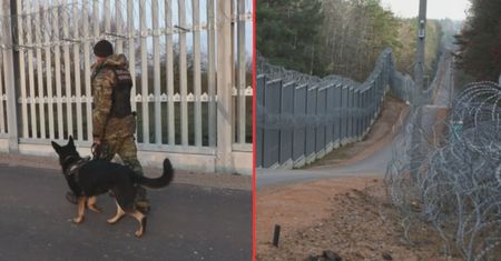 Budują nowe zapory przeciw migrantom. Dzieje się na granicy z Białorusią
