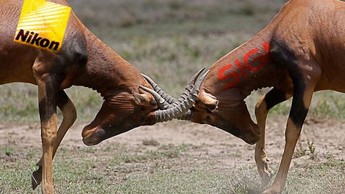 Nikon pozwał Sigmę 1