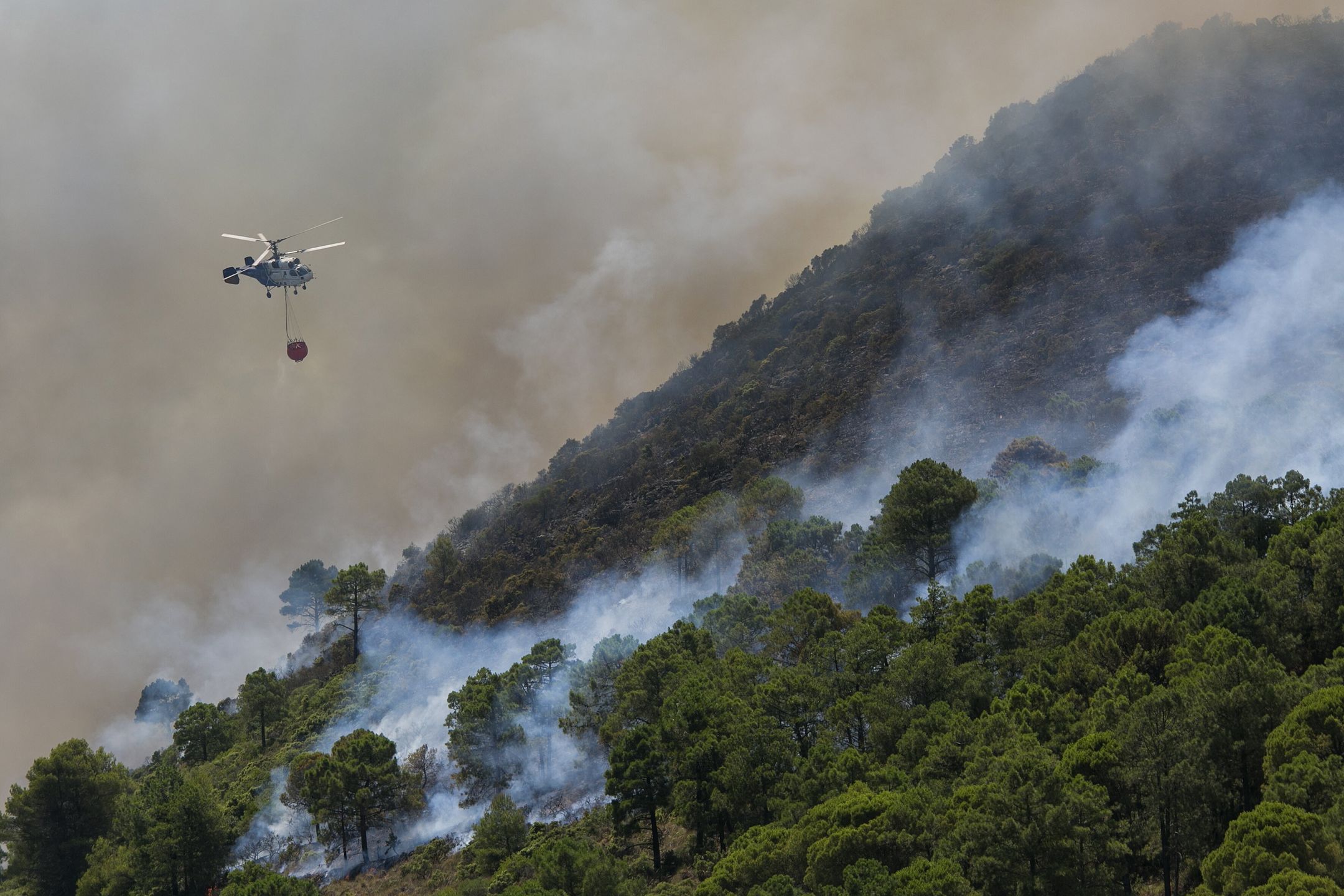 A firefighting helicopter pours water on the forest fire that started in the sierra of Mijas, Costa del Sol, southern Spain, 16 July 2022. Some 3000 residents were evacuated so far amid the forest fire that destroyed around 1,890 hectares so far. EPA/ALVARO CABRERA Dostawca: PAP/EPA.