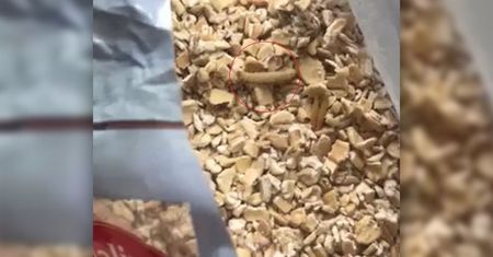 Lublin. Znalazła żywe robaki w płatkach owsianych kupionych w Biedronce