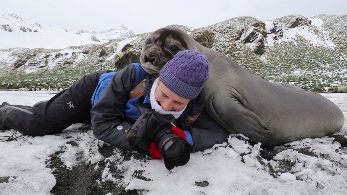 Fotografkę przytłoczyła jej praca, a właściwie… szczenię mirungi 1