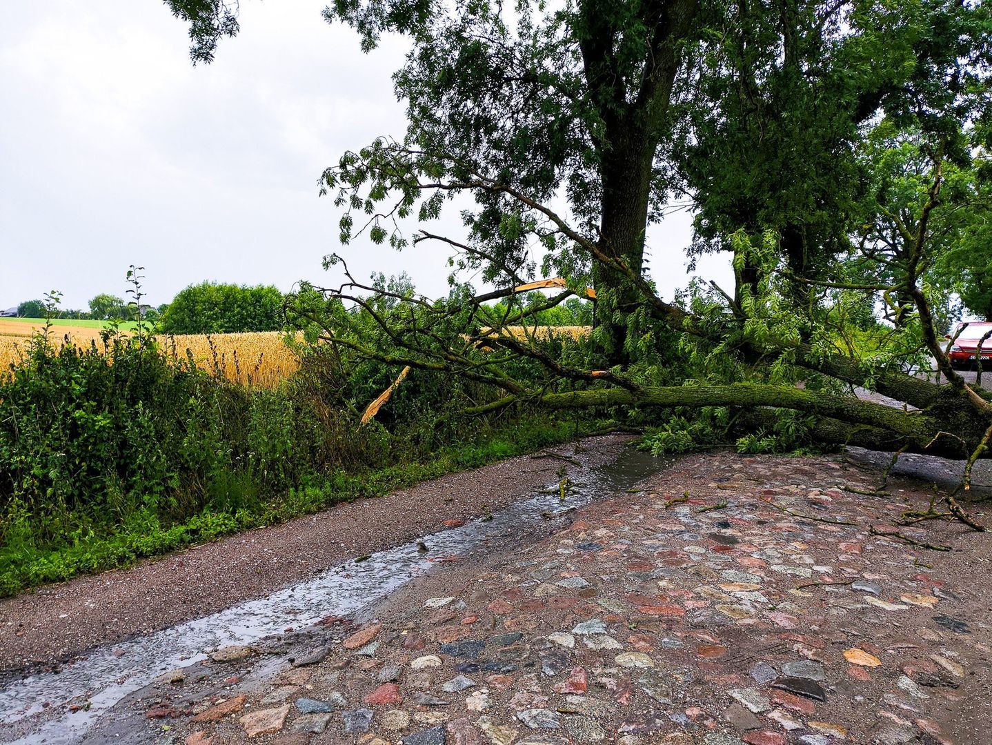 Skutki burzy w Grudziądzu i powiecie grudziądzkim