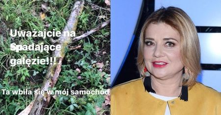 Przejęta Małgorzata Ostrowska-Królikowska przestrzega przed spadającymi gałęziami: "Ta WBIŁA SIĘ w mój samochód" (FOTO)