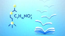 Acetylocholina - źródła, rola, niedobór, nadmiar