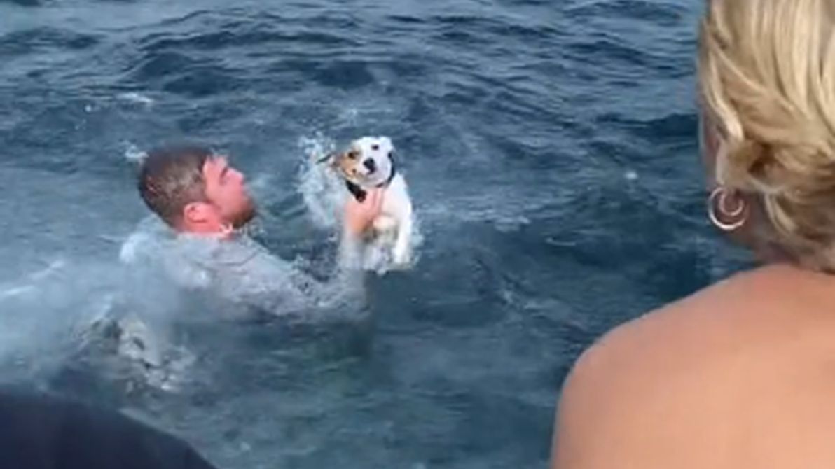 Wzruszające nagranie z Floryd