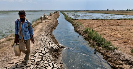 Najsuchszy czerwiec od 12 lat w Indiach. Monsun zawiódł rolników, a lipiec może być jeszcze gorszy