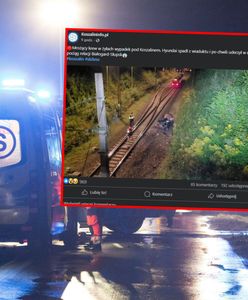 Samochód spadł z wiaduktu na tory. Chwilę później zmiażdżył go pociąg