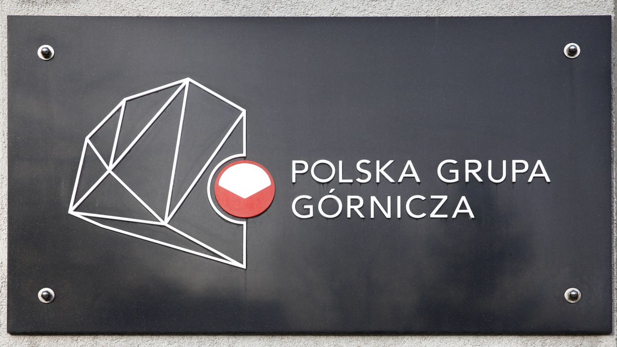 Związkowcy Polskiej Grupy Górniczej nie zgadzają się na propozycje zarządu.