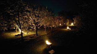 Przymrozki i trudna noc sandomierskich i opatowskich sadowników