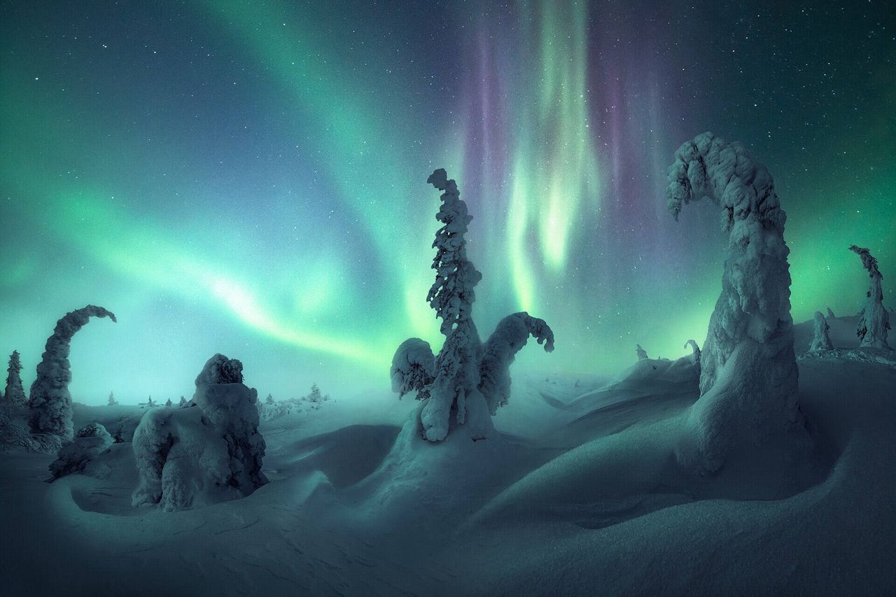 Najpiękniejsze zdjęcia zórz polarnych minionego roku. Oto fascynujący spektakl świateł