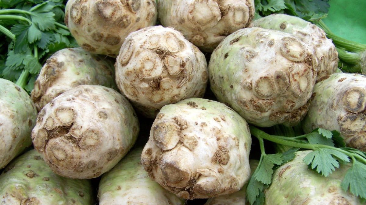 Seler jest obecnie najszybciej drożejącym warzywem