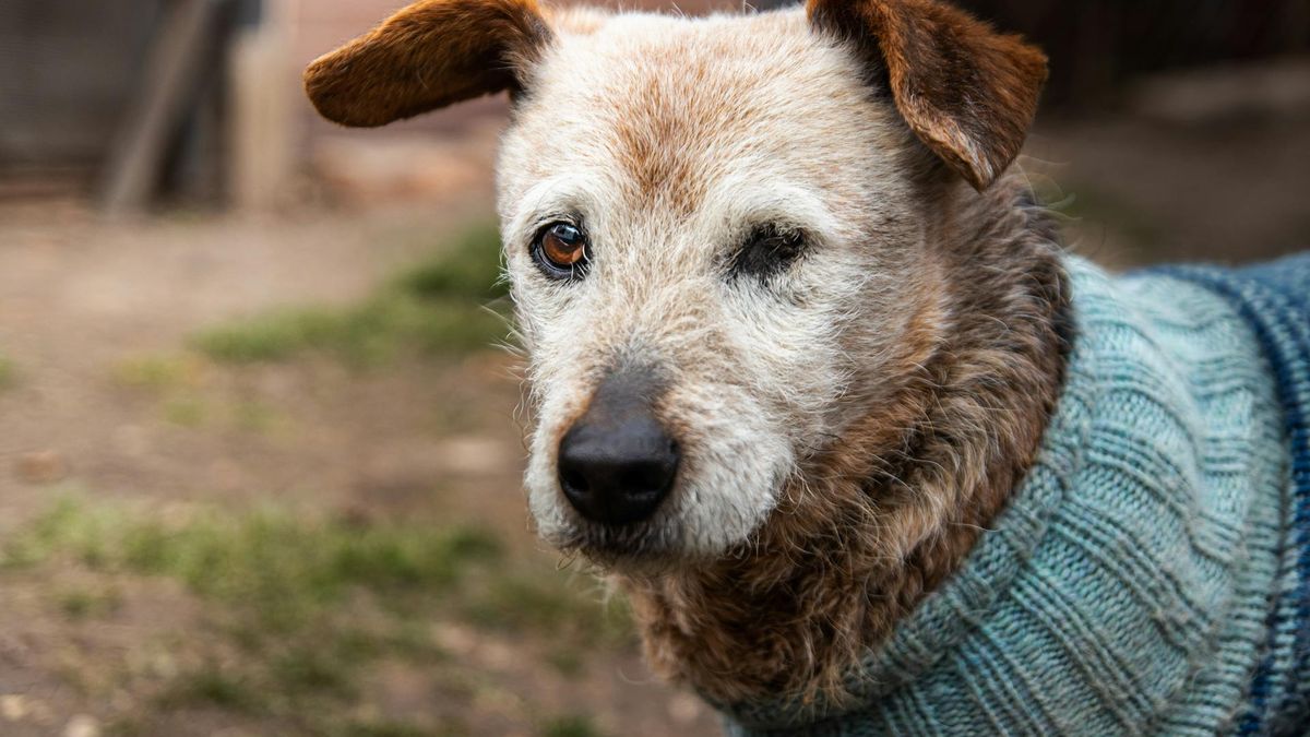 Amerykanie stworzyli innowacyjny lek