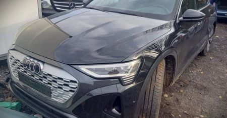 Auto skradzione w Niemczech odnalazło się w Polsce. Ktoś porzucił je w lesie