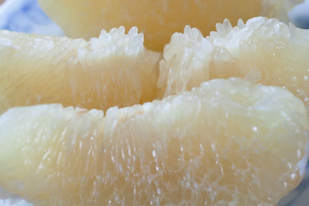Pomelo has the most vitamins among all citrus fruits.