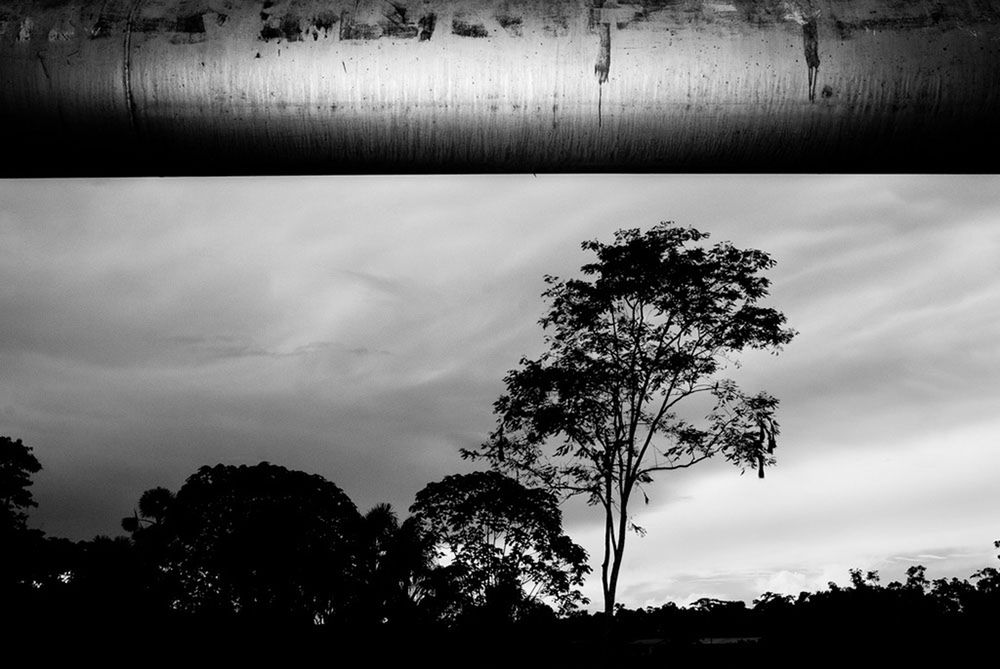 Polacy w finale Sony World Photography Awards 2012! [galeria] 28