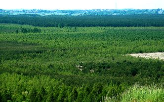 Pustynia Błędowska. Po rekultywacji północna część nie dla turystów, tylko dla wojska