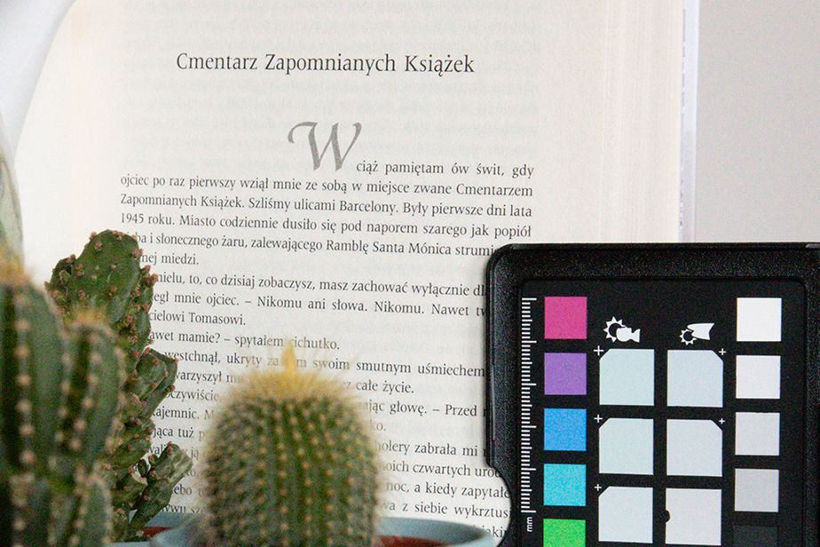 Canon EOS RP - budżetowy aparat wcale nie musi być zły [TEST] 44
