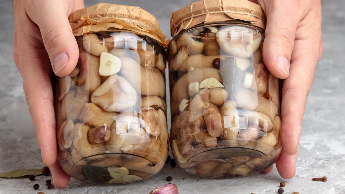 Niemki lub inaczej płachetki zwyczaje są świetne do marynowania 