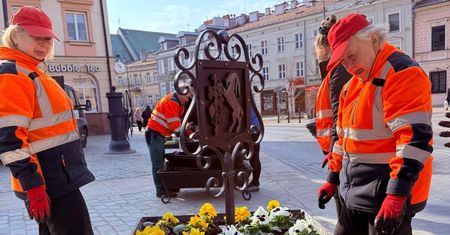 Wiosna w centrum Lublina. Na place i do Ogrodu Saskiego trafi ponad 8,6 tysiąca bratków