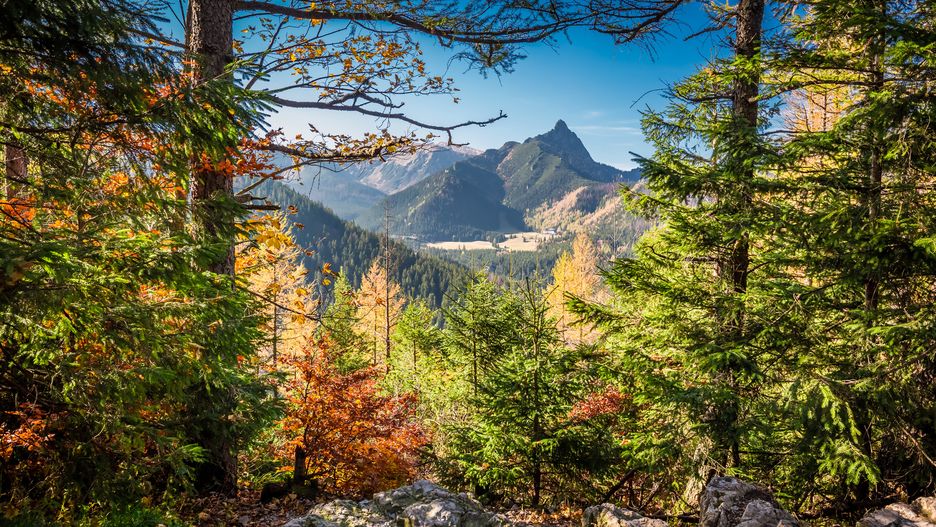 Tatry jesienią