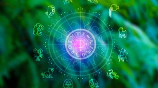 Horoskop dzienny na jutro - piątek 16 października 2026. Baran, Byk, Bliźnięta, Rak, Lew, Panna, Waga, Skorpion, Strzelec, Koziorożec, Wodnik, Ryby