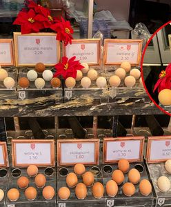 Takich jajek nie widziałeś. Kury karmione zgodnie z fazami księżyca