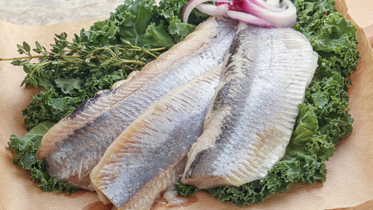 Czym różnią się matiasy od zwykłych śledzi?