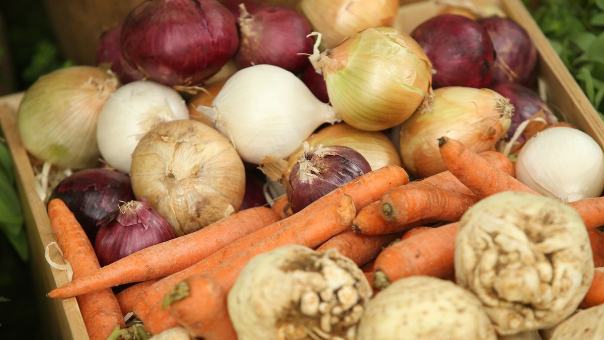 Farma pod Wrocławiem będzie produkowała żywność dla żłobków