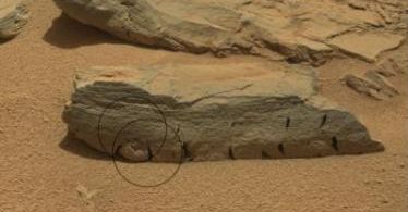 Jest sygnał z Marsa. Od łazika Curiosity