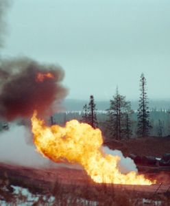 Stan wyjątkowy na Syberii. W pożarach zginęło co najmniej pięć osób